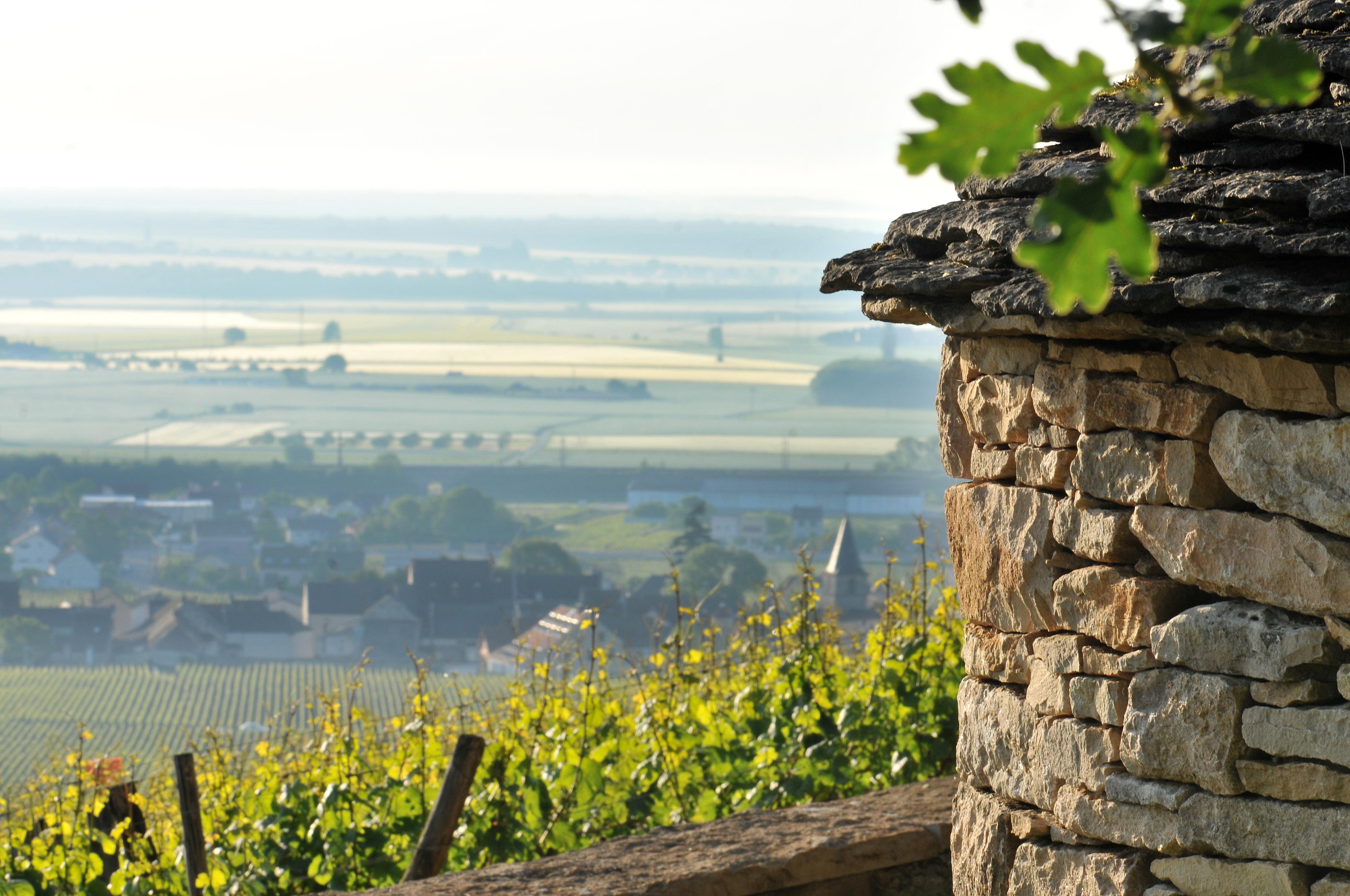 Le Richebourg Hotel, Restaurant & Spa Vosne-Romanée Esterno foto